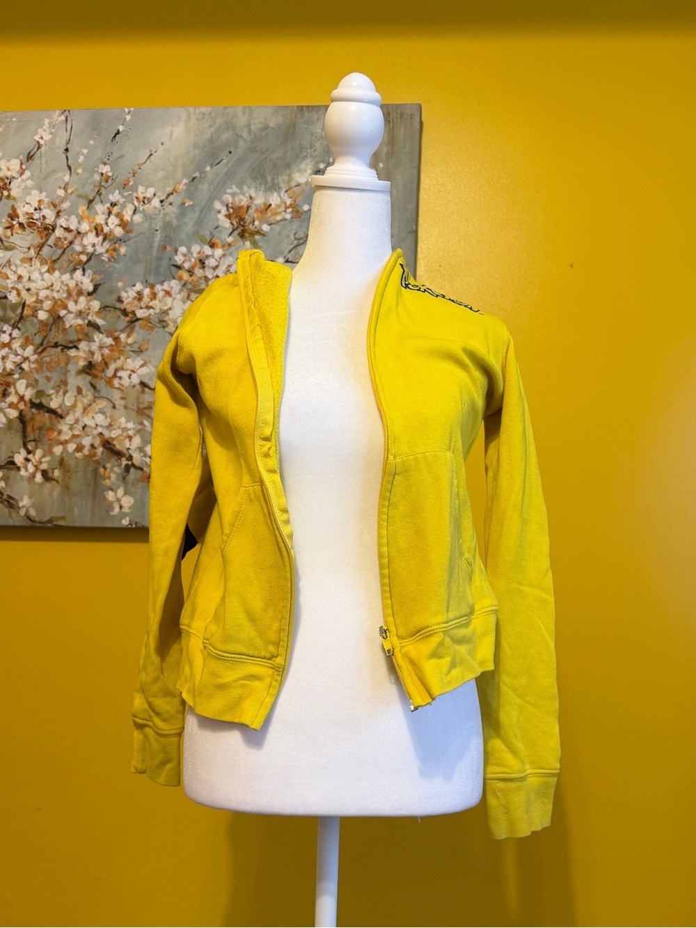 Pokemon Yellow Zip-Up Hoodie for Kids (Pikachu)